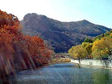 澳门二四六天天彩图库，兽神雨魔